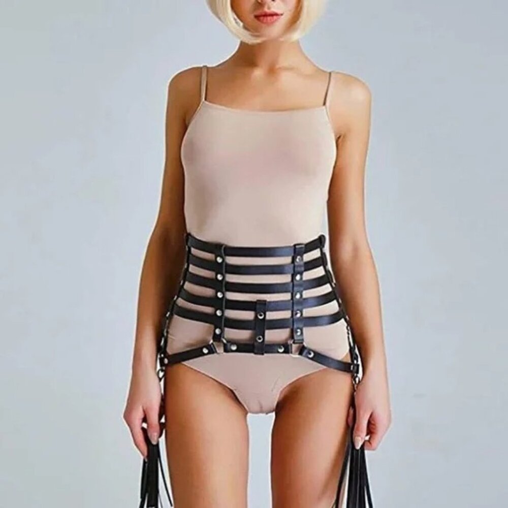 FP Waist Belt Harness - Picture 1 of 3
